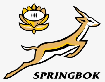 Vector Springbok Rugby Logo, HD Png Download, Free Download