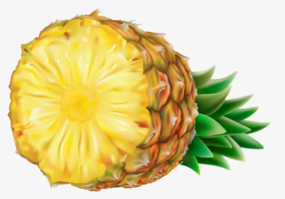 Imagem De Frutas - Transparent Background Pineapple Png Transparent, Png Download, Free Download