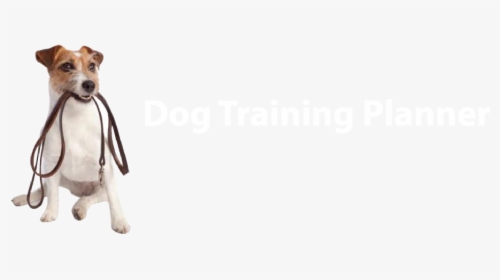 Dog Training Planner - Dogs Play Png, Transparent Png, Free Download