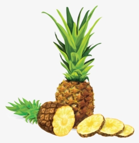 Clip Art Abacaxi Vetor - Pineapple Cut Clipart, HD Png Download, Free Download