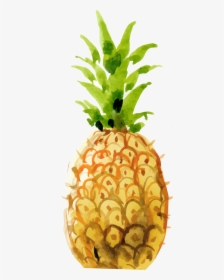 Clip Library Library Pineapple Hand Painted Transprent - Pineapple, HD Png Download, Free Download