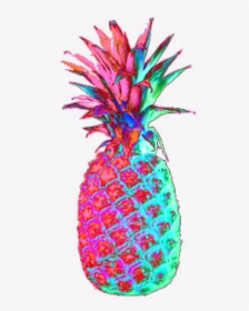 Colourful Pineapple , Png Download - Transparent Pineapple, Png Download, Free Download