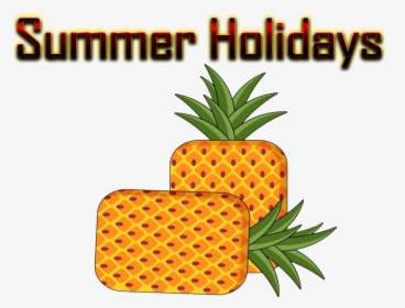 Bromeliaceae - Pineapple, HD Png Download, Free Download