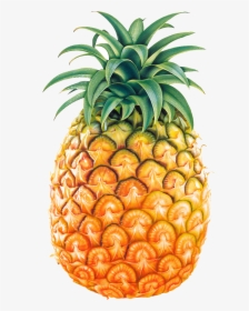 Black And White Free - Pineapple Png, Transparent Png, Free Download