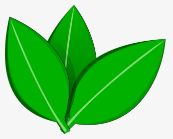 Vector Leaves Inkscape By Dyreryft On Clipart Library - Leaves Transparent Vector, HD Png Download, Free Download