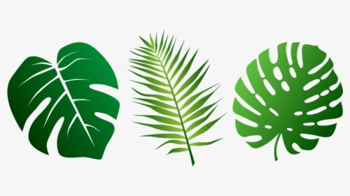 Leaves, Tropical, Palms, Plant, Green, Exotic, Foliage - Svg Tropical Leaf Silhouette, HD Png Download, Free Download