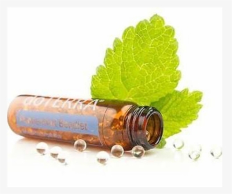 Doterra Peppermint Essential Oil - Peppermint Essential Oil Transparent Doterra, HD Png Download, Free Download
