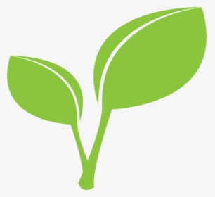 Plant,grass,leaf - Leaf And Stem Clipart, HD Png Download, Free Download