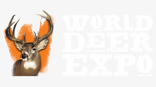 Logo - Elk, HD Png Download, Free Download