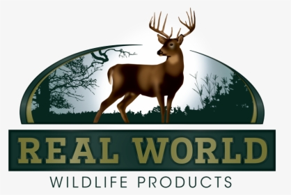 Real World Wildlife Products, HD Png Download, Free Download