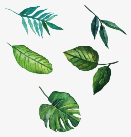 Euclidean Leaves Vector Leaf Hand-painted Free Download - Leaves Painting Png, Transparent Png, Free Download