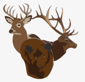 Bucks Bulls Bears - Elk, HD Png Download, Free Download
