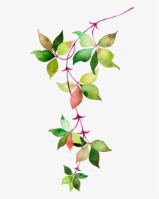 Flower Leaves Watercolor Euclidean Vector Icon Clipart - Mint Vector Icon Png, Transparent Png, Free Download