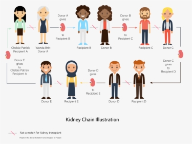 Illustration Of A Kidney Chain - 員工 滿意 度 調查, HD Png Download, Free Download
