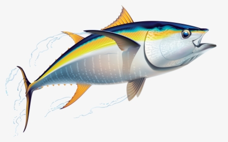 Transparent Fish Clipart - Tuna Clipart, HD Png Download, Free Download