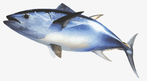 Fish Ecosia Inewconcom Your Transparent Background - Bluefin Tuna Fish Transparent, HD Png Download, Free Download