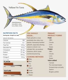 Transparent Tuna Fish Png - Salmon Atlantic Coho, Png Download, Free Download