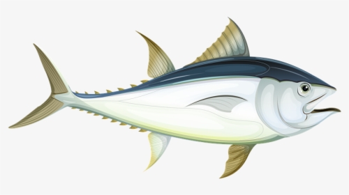 Fish, Sea, Tuna, Underwater, Water, Ocean, Animal - Fish In The Ocean Cartoons, HD Png Download, Free Download