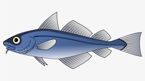 Fish, Tuna, Blue, Sea, Food, Seafood - Fish Respiratory System, HD Png Download, Free Download