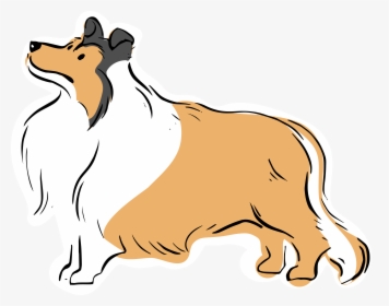 Dog Sighting Alert Shaggy Tan/white Collie Mix Seen - Collie Rough Png, Transparent Png, Free Download