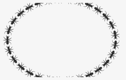 Transparent Ant Clipart - Transparent Png Gif Circle, Png Download, Free Download