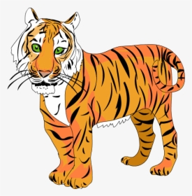 Tigre Png, Transparent Png, Free Download