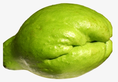 Fresh Png, Transparent Png, Free Download