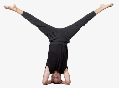 Tigre Png, Transparent Png, Free Download