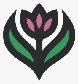Aster Png, Transparent Png, Free Download