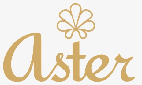 Aster Png, Transparent Png, Free Download