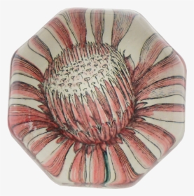 Aster Png, Transparent Png, Free Download