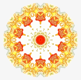 Aster Png, Transparent Png, Free Download