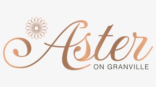Aster Png, Transparent Png, Free Download