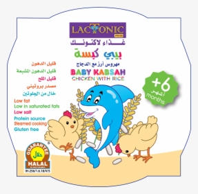 Baby Kabsa, HD Png Download, Free Download