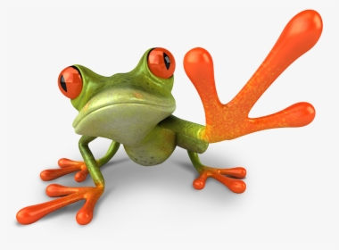 Frog Doing High Five, HD Png Download, Free Download