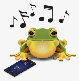 Wednesday Frog Png, Transparent Png, Free Download