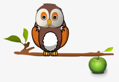 Owl On Branch Clip Arts, HD Png Download, Free Download