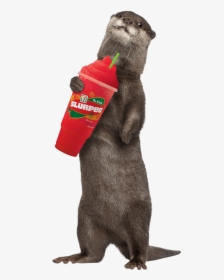 Slurpee Png, Transparent Png, Free Download