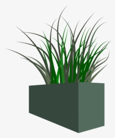 Pot, Grass, Plant, Weeds, HD Png Download, Free Download