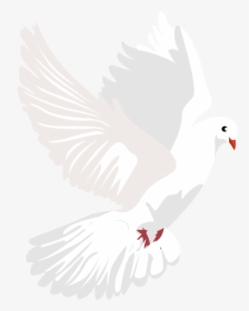 Dove Vector Png, Transparent Png, Free Download