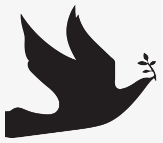 Dove Vector Png, Transparent Png, Free Download