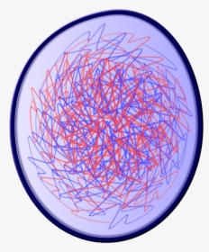 Chromatin Drawing Mitosis, HD Png Download, Free Download