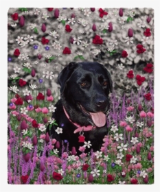 Abby The Black Labrador In Flowers I Fleece Throw Blanket, HD Png Download, Free Download