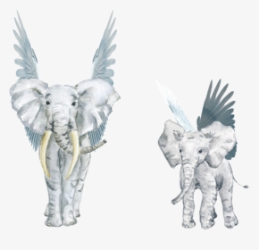 #watercolor #elephant #wings #angel #matriarch #feathers, HD Png Download, Free Download