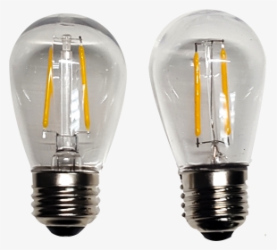 Edison Bulb Png, Transparent Png, Free Download