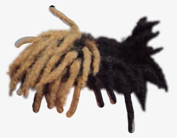Dread Drawing Dreadlock Hairstyle, HD Png Download, Free Download