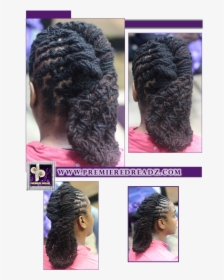 Dreadlock Png, Transparent Png, Free Download