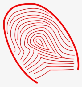 Fingerprint Finger Print Identification Free Photo, HD Png Download, Free Download