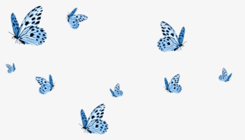 #cute #aesthetic #tumblr #butterflies #butterfly #blue, HD Png Download, Free Download