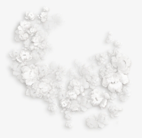 Transparent White Flower Clipart, HD Png Download, Free Download